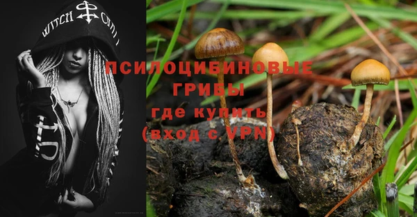 не бодяженный Михайлов