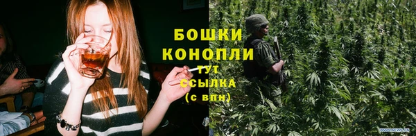 крисы Михайловка