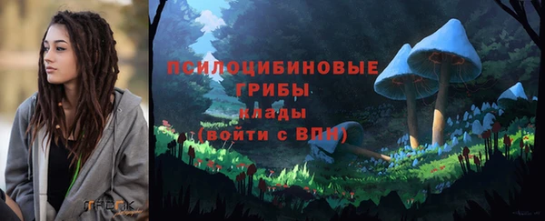 крисы Михайловка