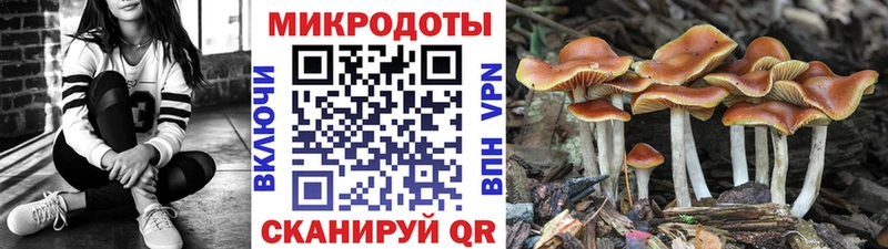Галлюциногенные грибы Magic Shrooms  Александровск-Сахалинский 